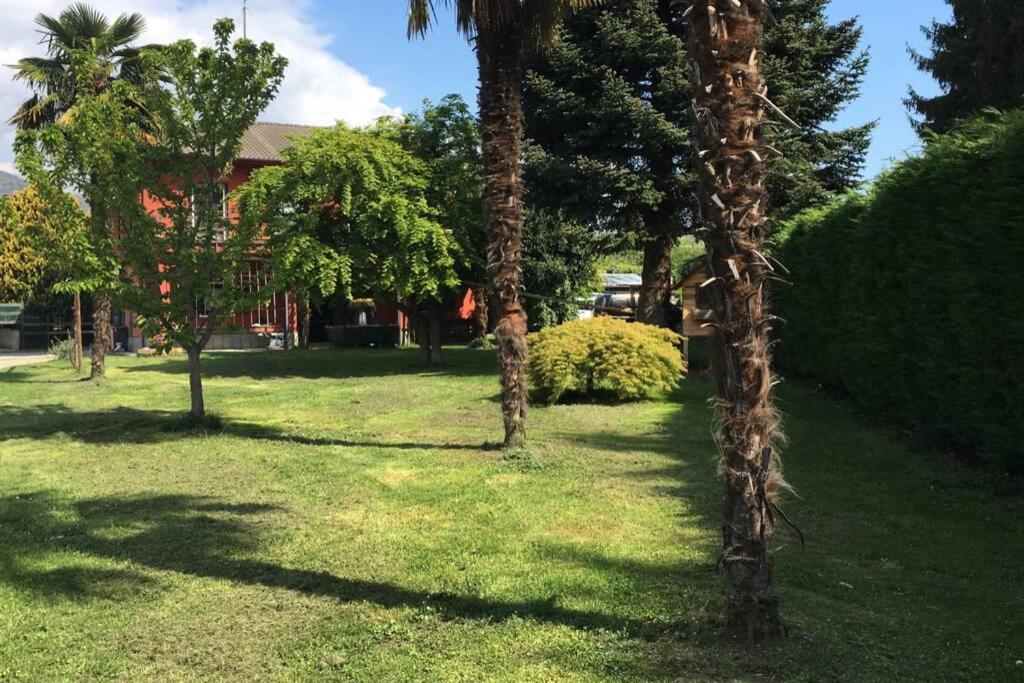 Апартаменты Garola Coccode Luserna San Giovanni Экстерьер фото